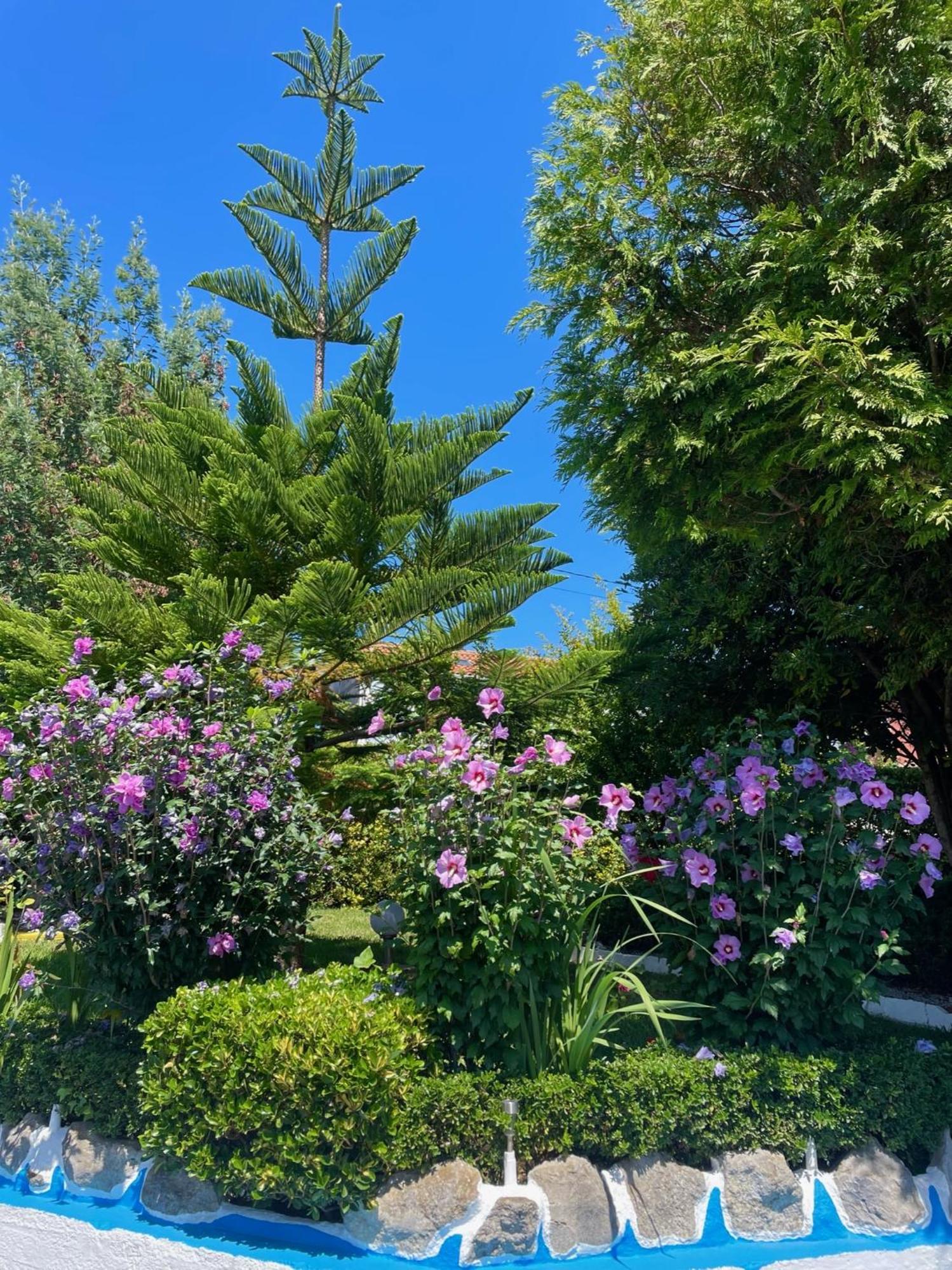 Hotel El Jardin Soto de la Marina Zewnętrze zdjęcie
