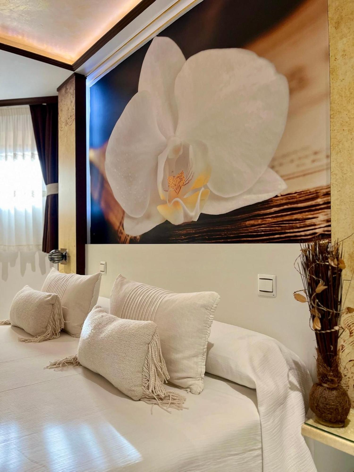 Hotel El Jardin Soto de la Marina Zewnętrze zdjęcie